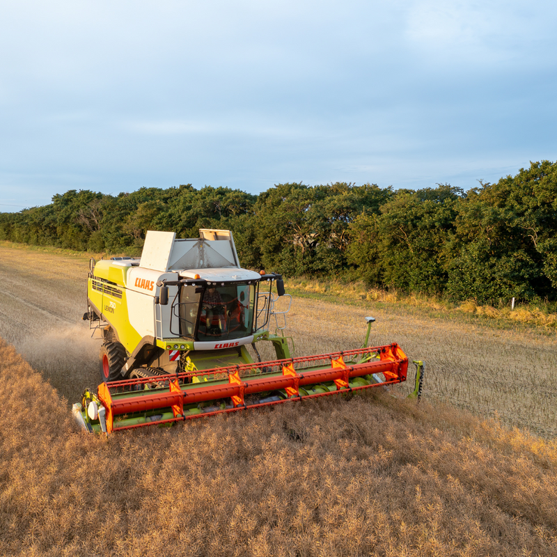 Harvest over, it’s time to get Christmas ready!